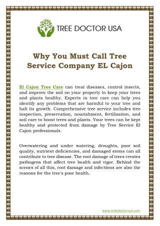 Why You Must Call Tree Service Company EL Cajon