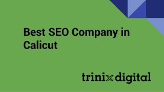 Best SEO Company in Calicut
