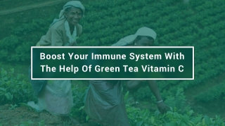Boost Your Immune System With The Help Of Green Tea Vitamin C