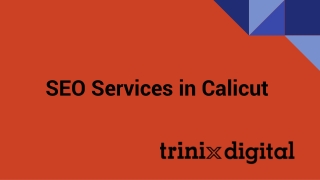 SEO Services in Calicut