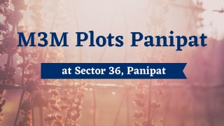 M3m Plots Panipat - The newest Address of joy