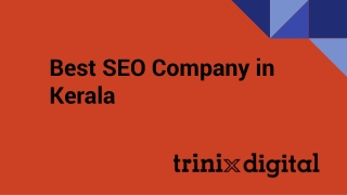 Best SEO Company in Kerala