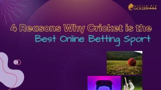 4 Reasons Why Cricket is the Best Online Betting Sport - Golden44