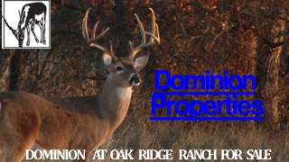 Hunting Land for Sale Texas Hill Country | Dominion Hunting Lands