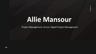 Allie Mansour - Proficient in Implementing Business Plans