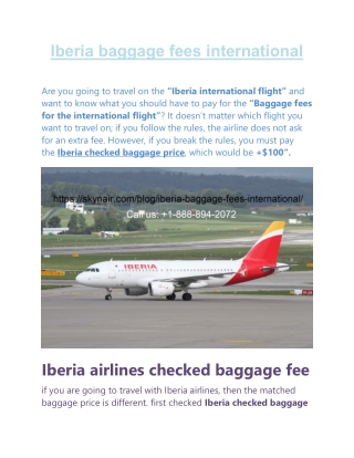 Iberia Baggage Fees International by Skynair.com