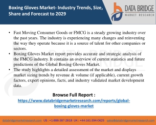 Boxing Gloves Market