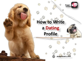 How to Write a Dating Profile