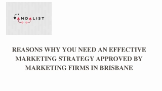 Best Marketing Support Company in Brisbane