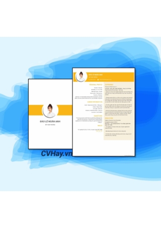 CVHay_Kế Toán Trưởng