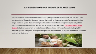 An Insider World of The Green Planet Dubai