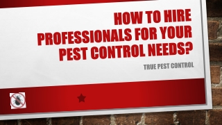How To Hire Professionals For Your Pest Control