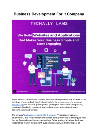 Business Development For It Company | Techally Labs