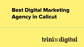 Best Digital Marketing Agency in Calicut