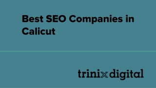 Best SEO Companies in Calicut | SEO Services