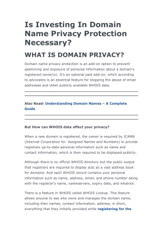 Is Investing In Domain Name Privacy Protection Necessary