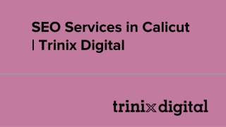 SEO Services in Calicut | Trinix Digital