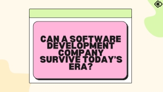 CAN A SOFTWARE DEVELOPMENT COMPANY SURVIVE TODAY’S ERA (1)