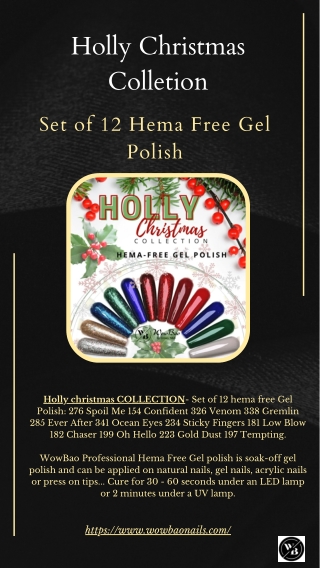 Holly Christmas Colletion- Set of 12 Hema Free Gel Polish