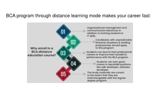 BCA program through distance learning mode makes your