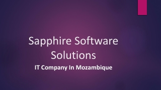 IT Company In Mozambique