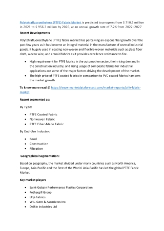 PTFE Fabric Market