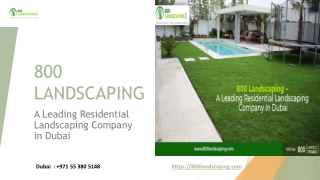 800 Landscaping – A Leading Residential Landscaping Company in Dubai