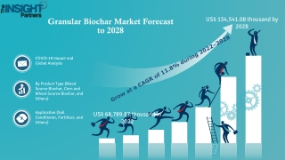 Granular Biochar Market 2022 Current Scenario and Growth Prospects 2028