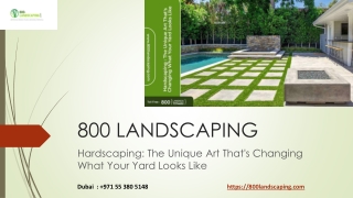 Hardscaping The Unique Art That's Changing What Your Yard Looks Like