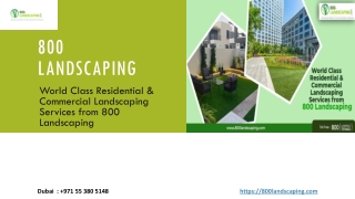 World Class Residential & Commercial Landscaping Services from 800 Landscaping