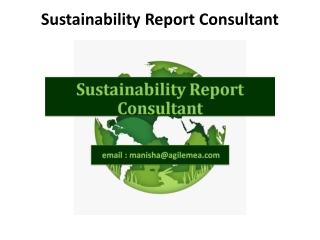 Sustainability Report Consultant