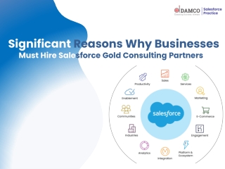 Significant Reasons Why Businesses   Must Hire Salesforce Gold Consulting Partners
