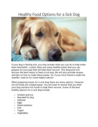 Healthy Food Options for a Sick Dog