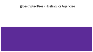 5 Best WordPress Hosting for Agencies