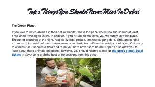 Top 3 Things You Should Never Miss In Dubai