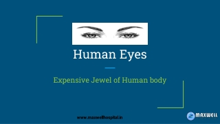 Importance of Human Eyes