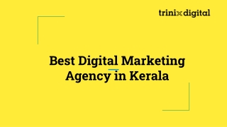 Best Digital Marketing Agency in Kerala