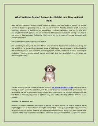 Why Emotional Support Animals Are Helpful