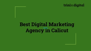 Best Digital Marketing Agency in Calicut