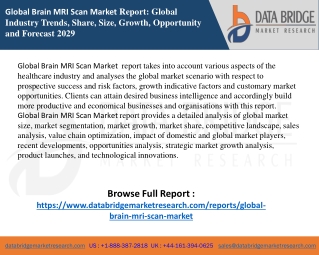 Brain MRI Scan Market  report