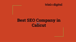 Best SEO Company in Calicut