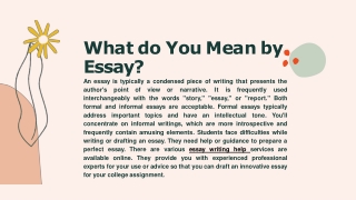What do You Mean by Essay?