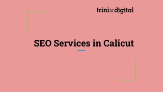 SEO Services in Calicut