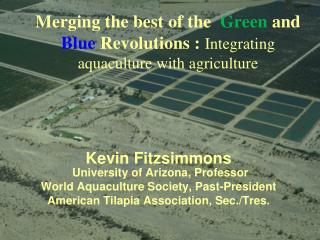 Merging the best of the Green and Blue Revolutions : Integrating aquaculture with agriculture