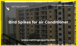 Bird Spikes for air Conditioner in Pune