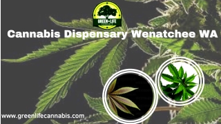 #1 Cannabis Dispensary in Wenatchee WA