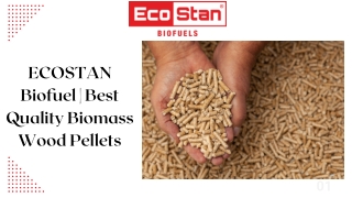 ECOSTAN Biofuel | Best Quality Biomass Wood Pellets