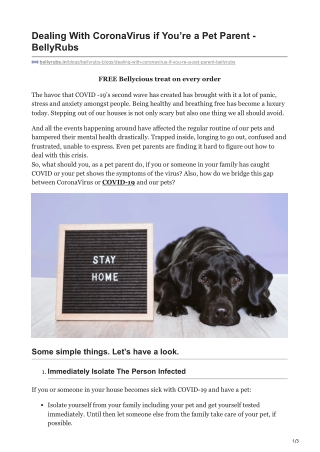 Dealing With CoronaVirus if You’re a Pet Parent