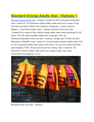 Standard Orange Adults Vest - Highway 1 (1)