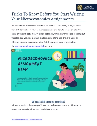 Tricks To Know Before You Start Writing Your Microeconomics Assignments